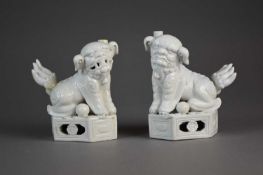 A pair of Chinese Dehua guardian lions
