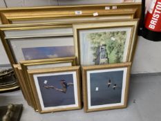 20th cent. Prints: David Shepherd 