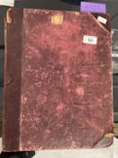 19th cent. Scrapbook with many full colour illustrations of flora and fauna.