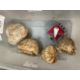 The Wexcombe Collection: Late Ordouician Echinoid fossils, sea urchins x 3, star fish and small - Image 1 of 3