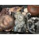20th cent. Pottery: Mixed lot to include trade figures, animals, Buddha head, llama plaque, wooden - Image 2 of 4