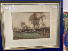 Tom Campbell: Watercolour Scottish sheep in a landscape, framed and glazed.