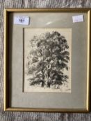 David Rolt (1916-1985): Fresden Elms, pencil on paper, signed D.R. Bears label to reverse Fresden