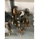 Pottery porcelain Beswick porcelain horses to include brown and white shire horse, black and white - Image 1 of 2