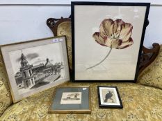 20th cent. Ink wash, Roman skyline, framed and glazed. 14ins. x 11½ins, print of a black cockatoo