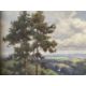 Alfred De Breanski (1877-1957): Oil on canvas landscape study figure walking down a hill with - Image 2 of 4