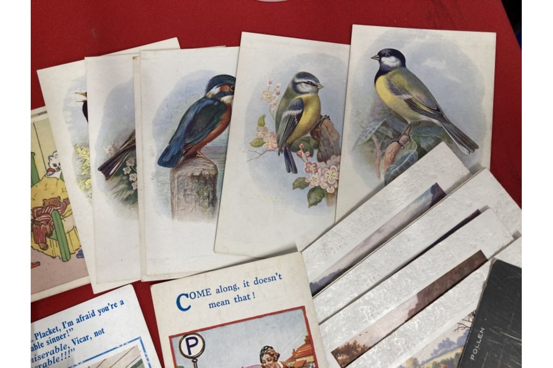 Postcards: Early 20th cent. and later to include humour, fishing, birds and cats. - Image 2 of 4