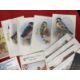 Postcards: Early 20th cent. and later to include humour, fishing, birds and cats. - Image 2 of 4