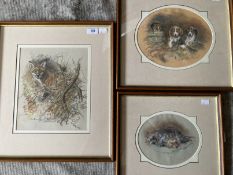 Nora Howarth: Pastels on paper, fox in undergrowth, signed, framed and glazed. 11ins. x 9ins. Jack