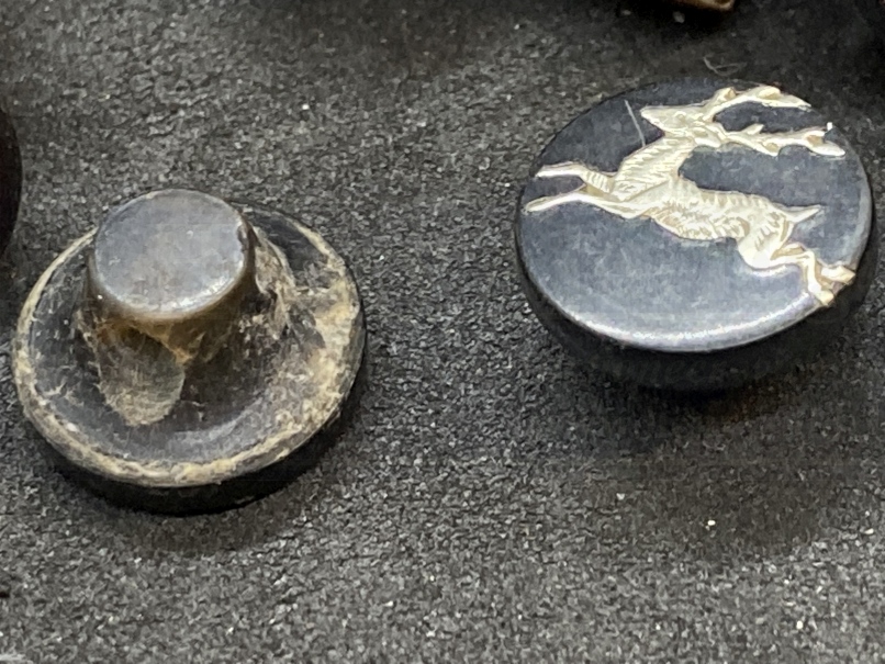 Objects of Virtu: 19th cent. Tortoiseshell buttons inlaid with silver stags ?ins, contained in an - Image 4 of 4