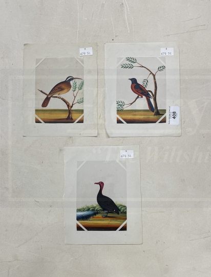 Company School: 19th cent. Indian mica paintings of birds, two of exotic birds on branches and