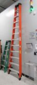 Werner Ladder