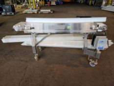 Dorner Belt Conveyor