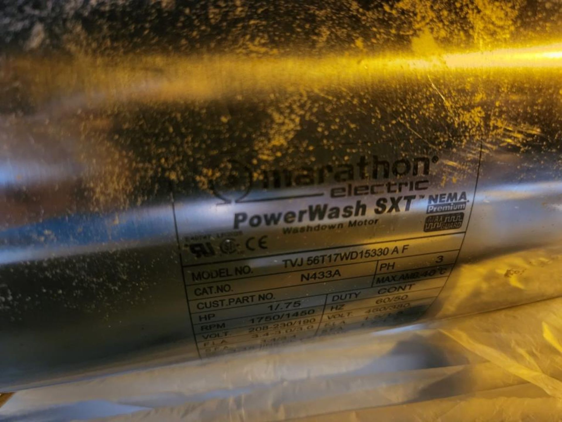 Dorner Belt Conveyor - Image 4 of 4