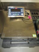 Mettler Toledo Scale