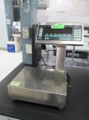 Mettler Toledo Scale