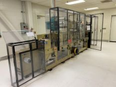 Flexographic Label Press/Transdermal Patch System