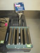 Mettler Toledo Scale