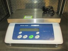 Mettler Toledo Scale
