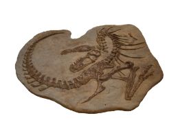 A pre-owned juvenile Tyrannosaur 'Death Pose' wall display.