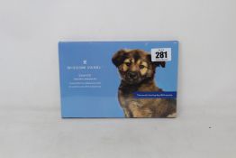 Twelve as new Wisdom Panel - Essential Dog DNA Collection Kits (Dog DNA test for ancestry, traits