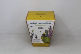 Seadball Bamboo Pots and Tubes: Bamboo Pots - Garden Meadow, Butterfly Mix and Bee Mix (3 each),