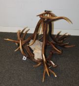 A decorative hanging antler chandelier/light fitting (Three bulb, slightly damaged).