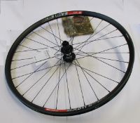 Two DT SWISS EX511 Rims (29).