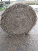 12 No. 4ft 2021 Hay Bales