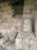 100 Bales of Hay 2021