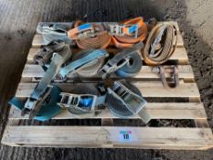 Quantity ratchet straps