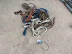 Quantity of cattle halters