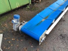 Stainless steel conveyor