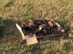 Quantity cultivator points and spares