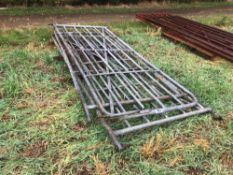3No galvanised gates
