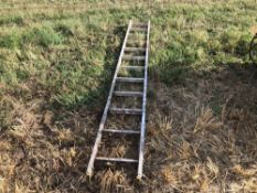 Galvanised ladder