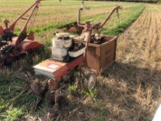Mountfield pedestrian rotavator