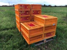 15No. poultry crates