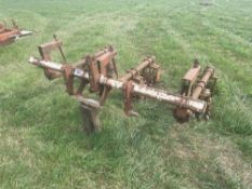 Lilliston rolling interrow 3 row cultivator