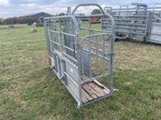 IAE galvanised cattle crush