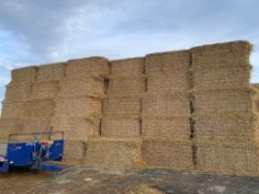 200 x 2022 Wheat Straw, Hesstons