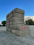 32 x 2022 Mini Heston Hay From Organic AB8