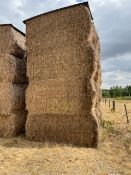 20 x 2021 Hay From Organic AB8