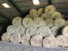 100 x 2022 5' Round Hay Bales