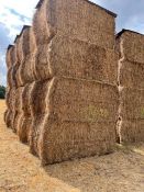 20 x 2021 Hay From Organic AB8