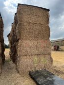 36 x 2021 Hay From Organic AB8