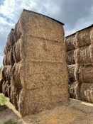20 x 2021 Hay From Organic AB8