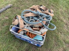 Quantity rope and ratchet straps