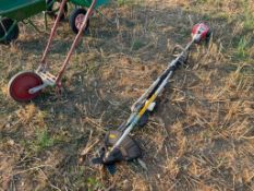 Multifunction petrol pole pruner