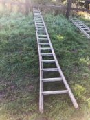 2No galvanised fruit picking ladders